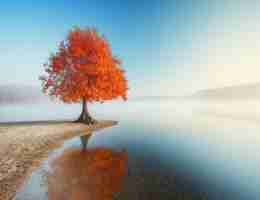 制﻿定‌seo计‍划﻿